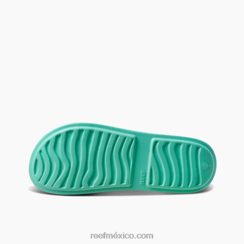 salvia de agua Reef mujer verde azulado neón B4FFZ226