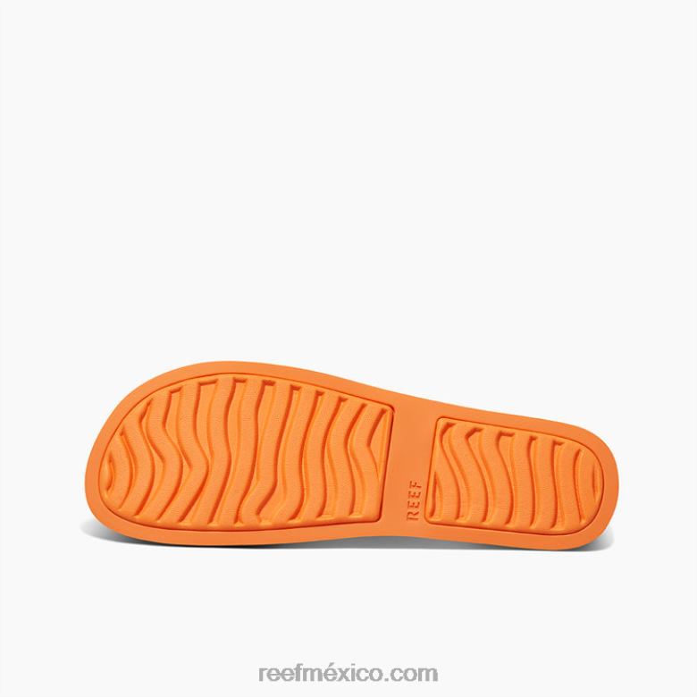 tobogán de vista de agua Reef mujer zalamero B4FFZ127