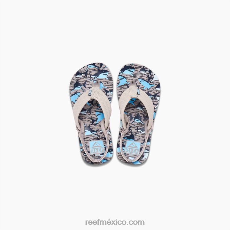 pequeño ahi Reef niños tiburones bronceados B4FFZ829
