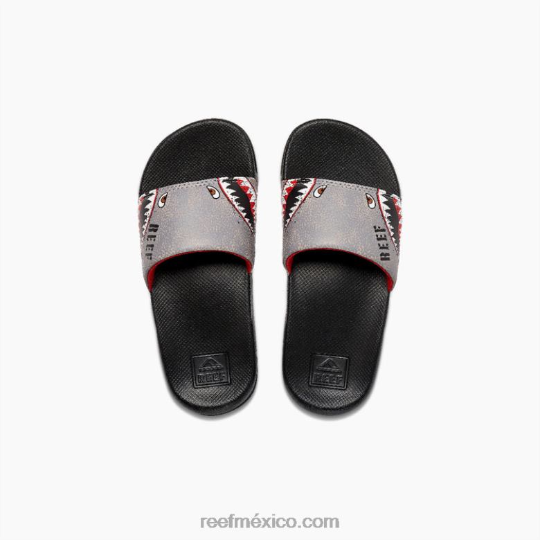 niños una diapositiva Reeftiburones voladores B4FFZ841