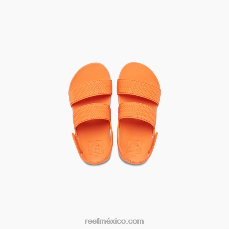 pequeña vista de agua Reef niños zalamero B4FFZ864